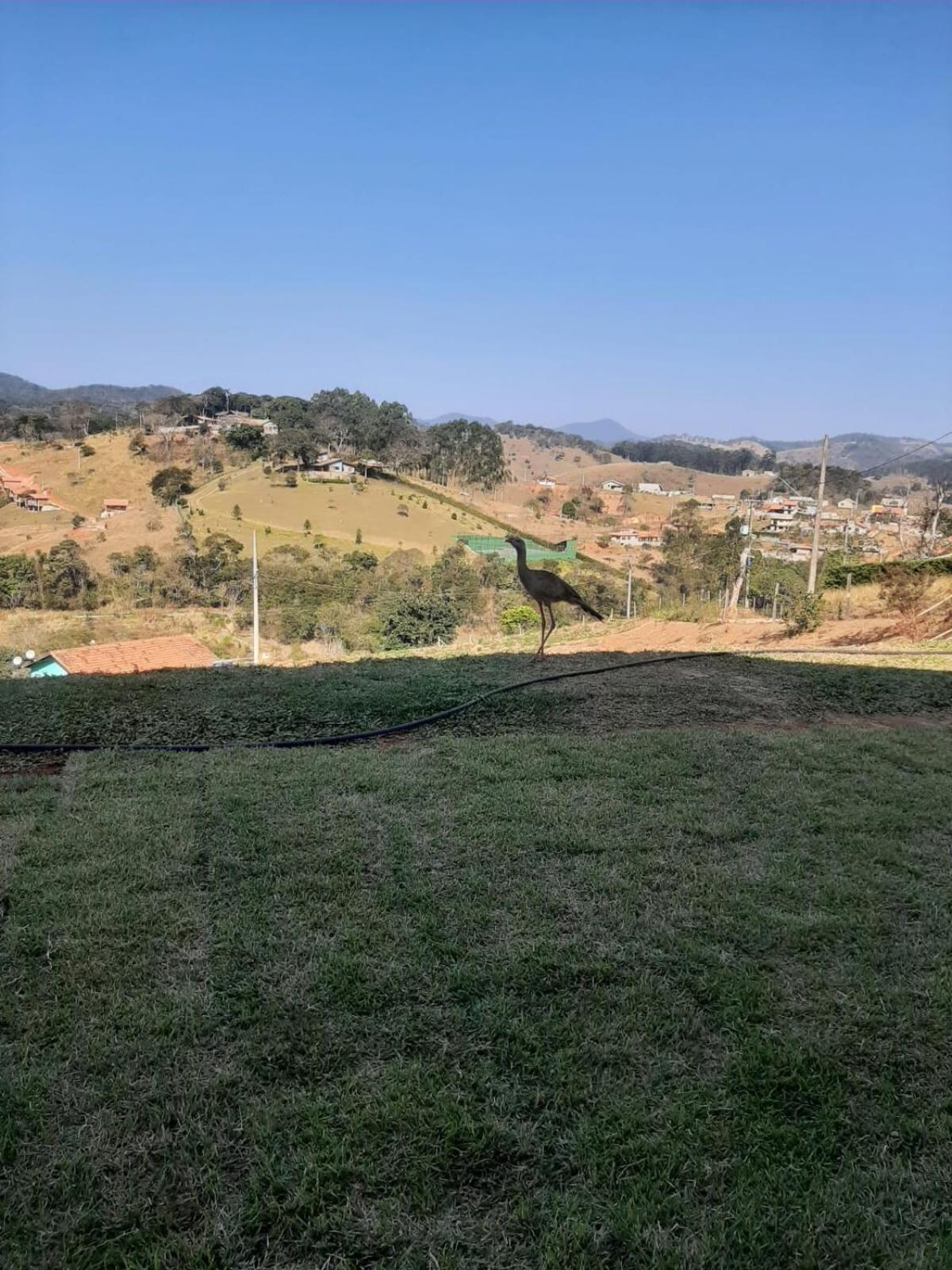 Recanto Alvorada - Casa De Campo Santo Antonio do Pinhal Ngoại thất bức ảnh